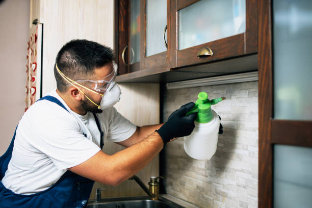 Flea Control Services in Ocean Bluff Brant Rock, MA