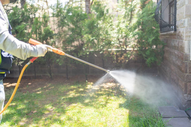Best Flea Control Services  in Ocean Bluff Brant Rock, MA