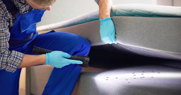 Best Rat Extermination Near Me  in Ocean Bluff Brant Rock, MA